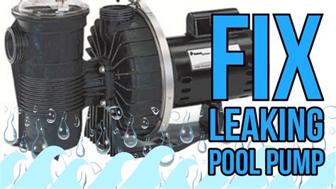 How to fix a leaking pool pump